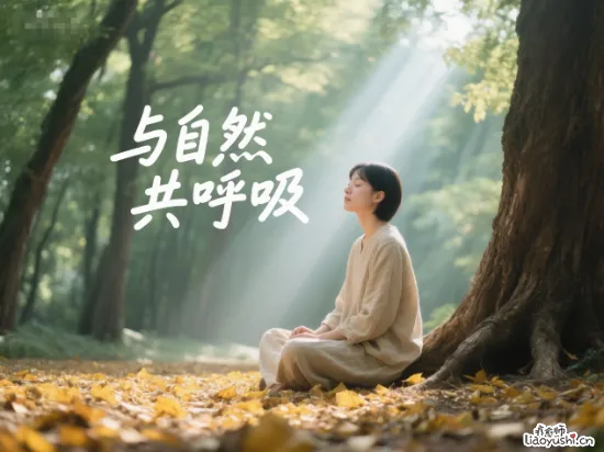 10分钟小森林，治愈你停不下来的心