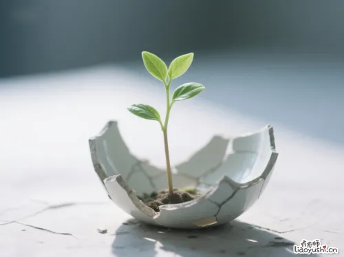 那个总觉得自己搞砸一切的姑娘，藏着你不懂的生存智慧