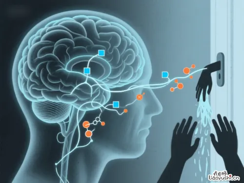 强迫症的秘密开关：大脑里两种化学物质的失衡