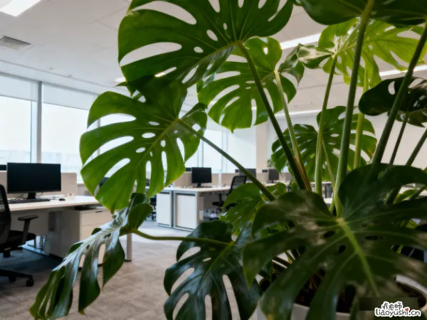 那些不用说话的工作：低学历社恐的职场生存实录