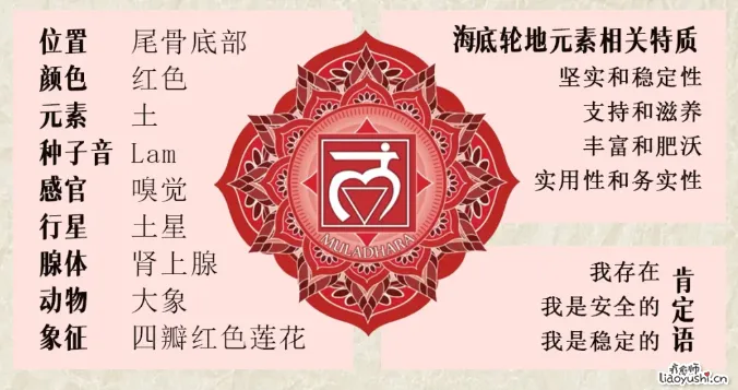 图解七脉轮：读懂身心能量指南（建议收藏）