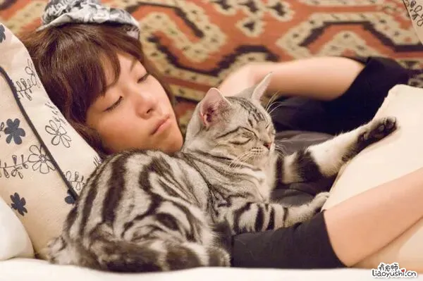 向猫学习！有效缓解内耗的6个身体动作